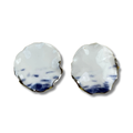 Pair of earrings with a blue and white pattern on a white background